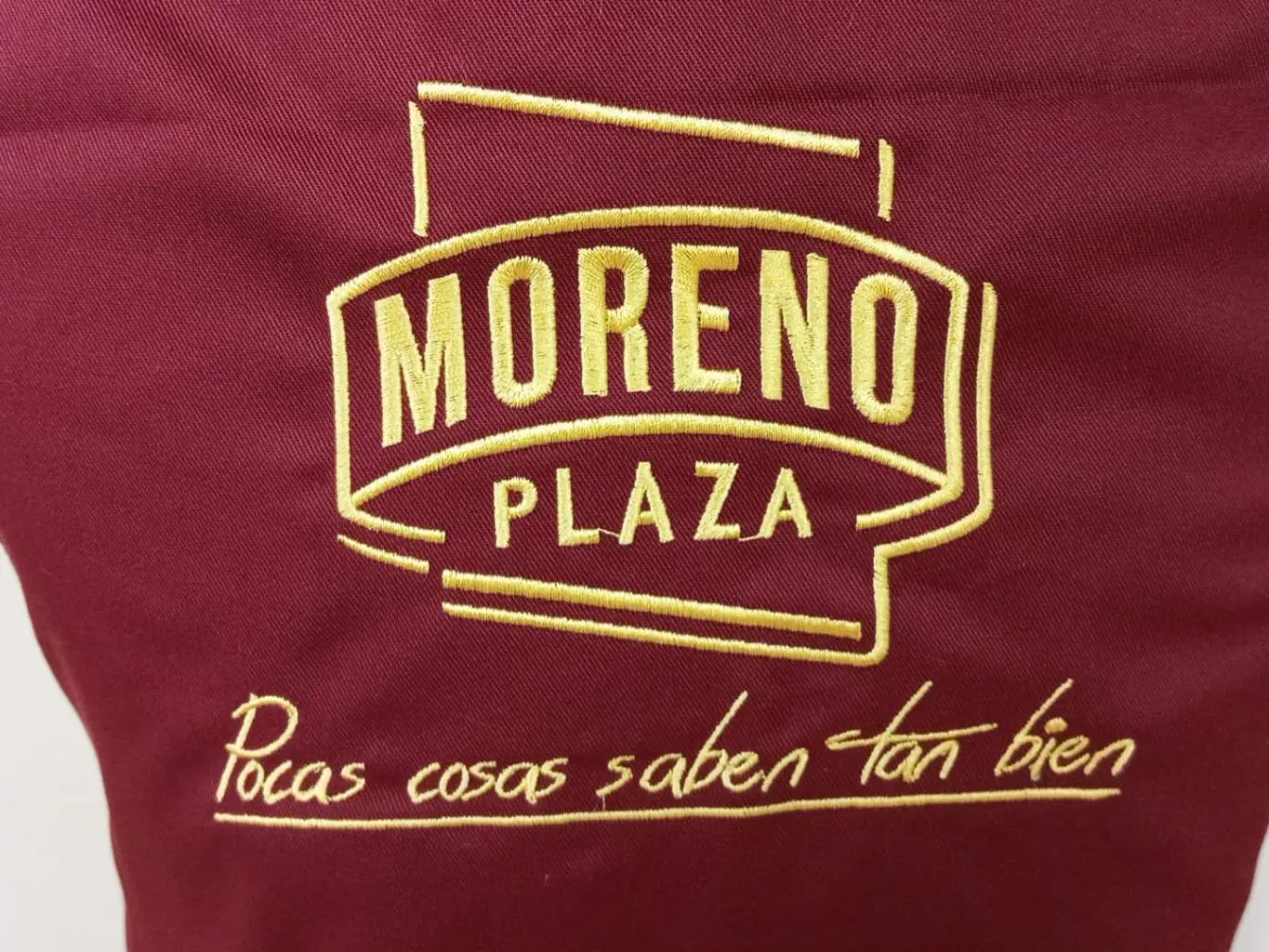 Delantal con logotipo bordado en bajo el logo