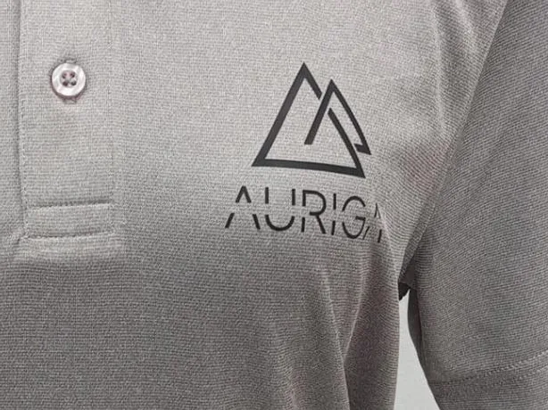 Polo con logotipo estampado en DTF en pecho izquierdo