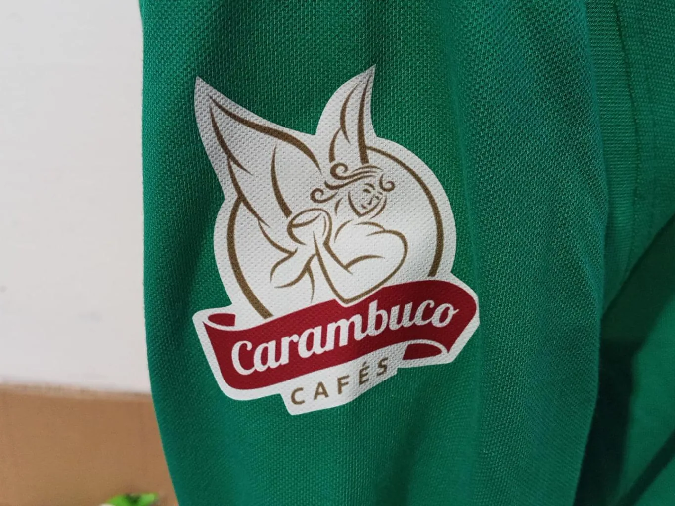 Polo con logotipo estampado en DTF en manga