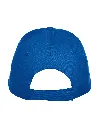 024065_55_TexasBullCap_B.webp