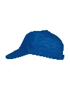 024065_55_TexasBullCap_L.webp