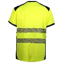 WR.2.322_1678_004.webp.webp